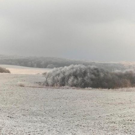 Ferienwohnung Uckermarkblick Ziehten Bagian luar foto